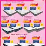 Folleto Hot Sale 2026 Soriana del 25 de mayo al 4 de junio 2026