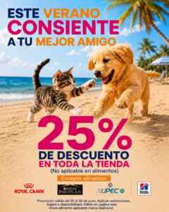 Imagen de la promo