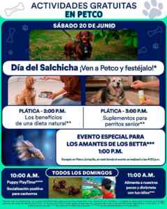 Imagen de la promo