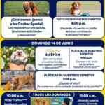 Actividades Gratuitas fin de semana del 13 al 14 de junio 2026 en Petco