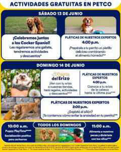 Imagen de la promo
