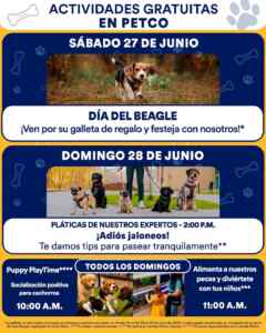 Imagen de la promo