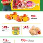 Bodega Aurrera Tianguis de frutas y verduras Precio Bodega al 30 de julio 2026