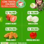 Miércoles de Plaza 22 de julio: frutas y verduras en la Comer y Fresko