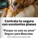 Folleto cuponera Costco del 24 de agosto al 20 de septiembre 2026