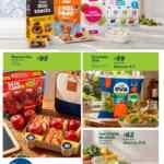 Folleto cuponera Regreso a Clases Sam’s Club al 3 de septiembre 2026