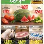 Martes y Miércoles del Campo Soriana 4 y 5 de agosto: ofertas de frutas y verduras Martes y Miércoles del Campo Soriana 4 y 5 de agosto: ofertas de frutas y verduras