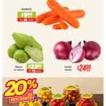 Martes y Miércoles del Campo Soriana 18 y 19 de agosto: ofertas de frutas y verduras Martes y Miércoles del Campo Soriana 18 y 19 de agosto: ofertas de frutas y verduras