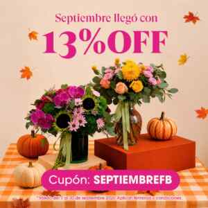 Imagen de la promo