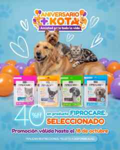 Imagen de la promo