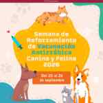 En CDMX vacunación antirrábica Gratis para perros y gatos