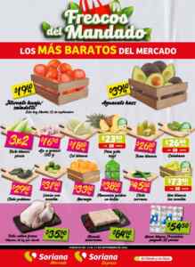 Imagen de la promo