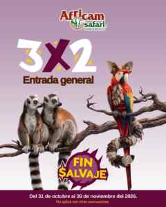 Imagen de la promo