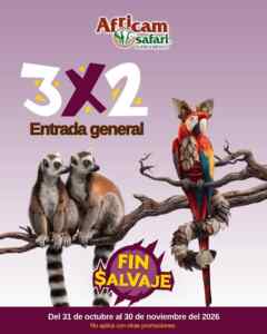Buen Fin 2026 Africam Safari: 3x2 en tu entrada general y más Imagen de la promo