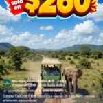 26 Aniversario Bioparque Estrella: Entrada general a $260 si los sigues en Instagram o TikTok