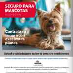 Folleto cuponera Treasure Hunt Fest Costco al 1 de noviembre 2026 Folleto cuponera Treasure Hunt Fest Costco al 1 de noviembre 2026