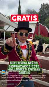 Imagen de la promo