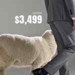 Promo Men's Fashion: Trajes de lana desde $3,499