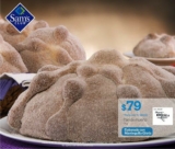 Pan de muero a $79 en Sam´s Club