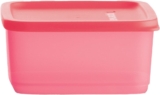 Recipiente para refrigerar alimentos TupperWare con 650 ml de capacidad baja de precio