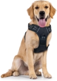 Arnés para perros baja a un excelente precio con un gran descuento