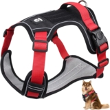 Arnés ajustable para perro baja a un excelente precio