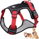 Arnés ajustable para perro baja a su menor precio