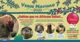 2×1 en Africam Safari si llevas a reciclar tu arbolito de navidad natural