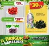 Ofertas Bodega Aurrera Tianguis de frutas y verduras 15 al 21 de septiembre 2023