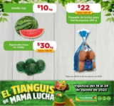 Ofertas Tianguis Bodega Aurrera en frutas y verduras al 24 de agosto 2023