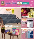 Folleto Chedraui Consentidos de Mamá hasta el 10 de mayo 2022