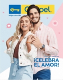 Folleto Coppel Ofertas Febrero 2021