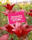 Cupón Enviaflores Octubre 2026: 13% de descuento en productos participantes