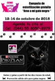 Esterilización Gratis para gatos negros en el Centro Médico para Gatos del 12 al 14 de octubre