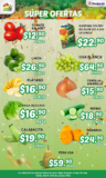 Ofertas Súper Guajardo frutas y verduras 7 al 9 de octubre 2025