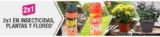 Promoción Home Depot de 2×1 en flores, plantas e insecticidas