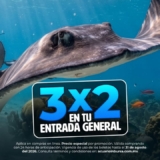 Preventa Verano Acuario Inbursa: 3×2 en entrada general