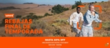 Segundas Rebajas Levi’s: Ahora hasta 60% de descuento