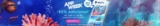 Linio App Week: 10% de descuento adicional con Paypal y más