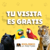 Zoológico la Pastora en Monterrey entrada Gratis para estudiantes este verano