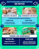 Actividades Gratuitas fin de semana en Petco