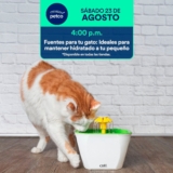Aprendiendo con Petco Gratis Fin de semana 23 y 24 de agosto 2025