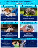 Aprendiendo con Petco Gratis Fin de semana 3 y 4 de enero 2026