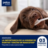 Seminarios gratuitos Petco fin de semana 3 y 4 de febrero 2024