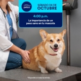 Aprendiendo con Petco Gratis fin de semana: 4 y 5 de octubre 2025