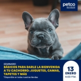 Seminarios gratuitos Petco fin de semana 13 y 14 de enero 2024