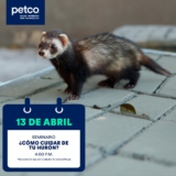 Seminario gratuito Petco: “¿Cómo Cuidar de tu Hurón?”