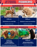 Aprendiendo con Petco Gratis fin de semana: 22 de febrero 2026