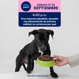 Aprendiendo con Petco Gratis Fin de semana 27 y 28 de septiembre 2025