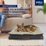 Seminarios gratuitos Petco fin de semana: ¿Cuál es la cama ideal para tu mascota? y Conoce al Loro Kramer